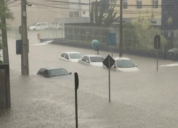 Foto: Colaboração Carine Rocha/Banda B