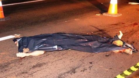 O pedestre teria tentado atravessar a rodovia. (Foto: Reprodução)