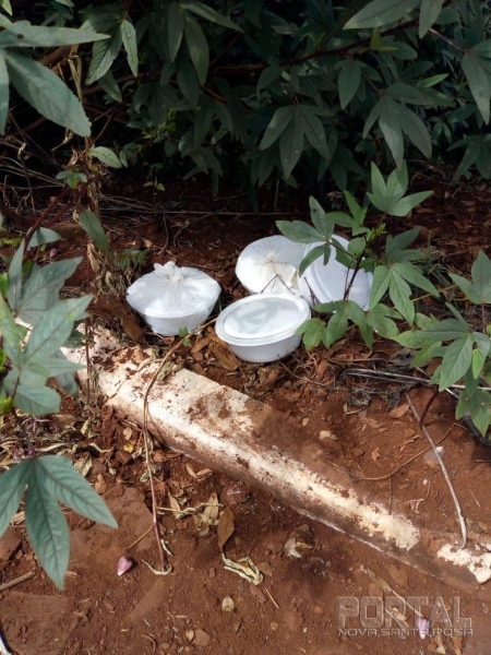 Marmitas sendo descartadas incorretamente. (Fotos: Colaborador)