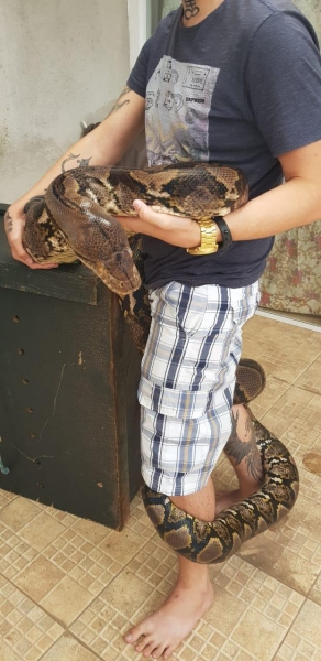 Foto: Polícia Civil do Paraná