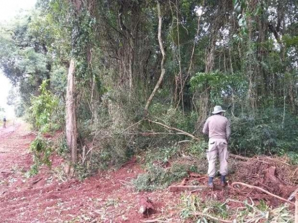 O homem não apresentou licença ambiental para o tipo de atividade e diante das circunstâncias, recebeu voz de prisão.(Foto: Catve)