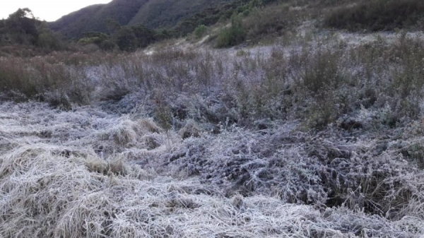 Parque Nacional do Itatiaia registra -5,4 ºC, novo recorde de frio no Brasil em 2019 (Foto: Carlos Fonseca )