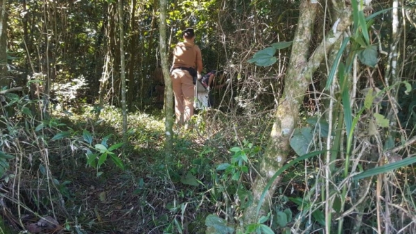 Aparentemente o corpo está no local há bastante tempo. (Foto: CGN)