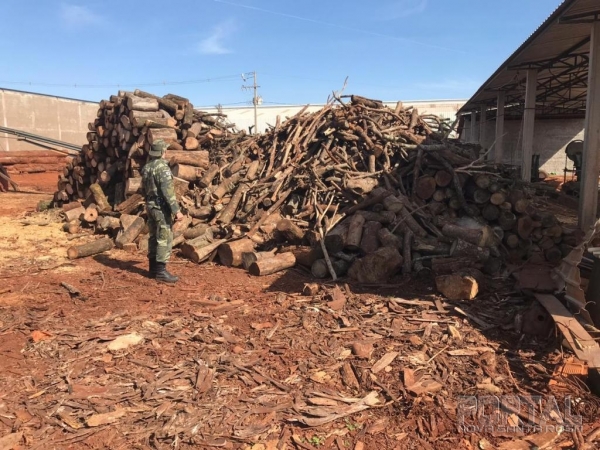Fotos: Polícia Ambiental