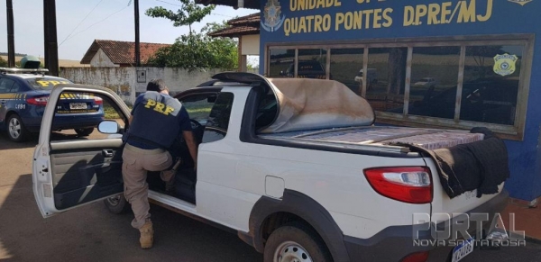 A carga, contrabandeada do Paraguai, era transportada por uma caminhonete Fiat Strada.(Foto: PRF)