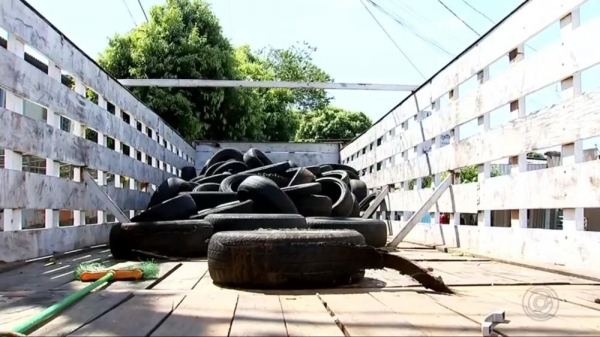 Foto: Reprodução/TV Tem