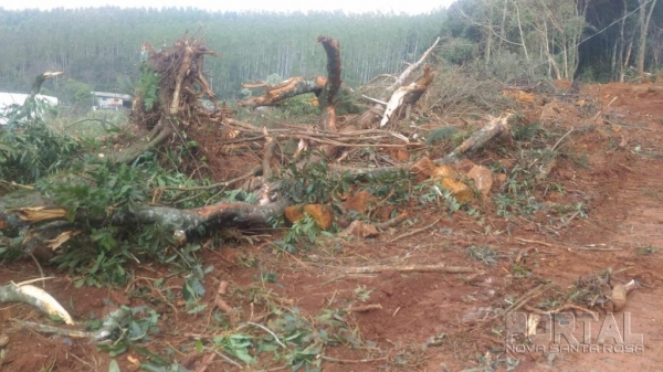 No total, 04 (quatro) pessoas foram presas e encaminhadas a Delegacia de Polícia Civil de Francisco Beltrão. (Fotos: Polícia Ambiental)