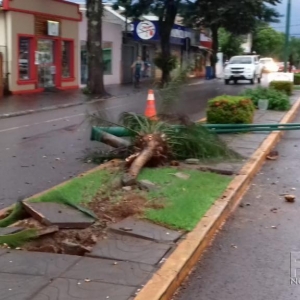 Imagens do poste caído no dia do acidente. (Foto: Portal Nova Santa Rosa)