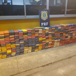 Os agentes encontraram 495 tabletes da droga, em Paranaguá — Foto: Divulgação/PRF