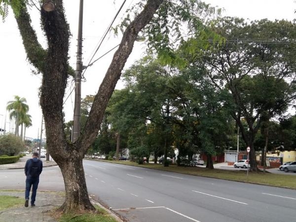 Manhã de sexta-feira em Curitiba (Foto: Silvio Rauth Filho)