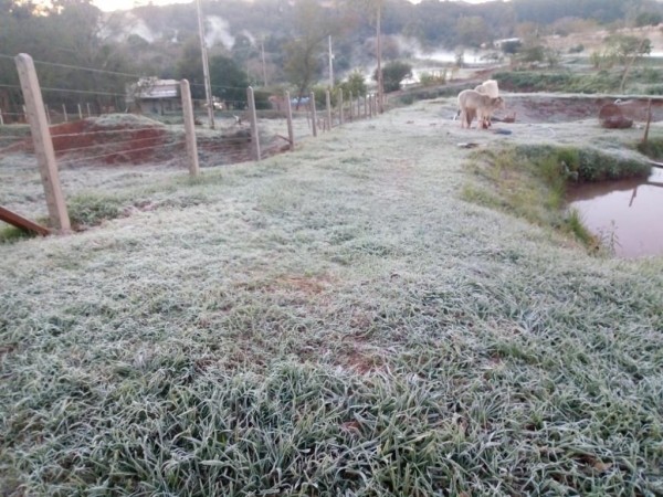 Fotos: Colaborador
