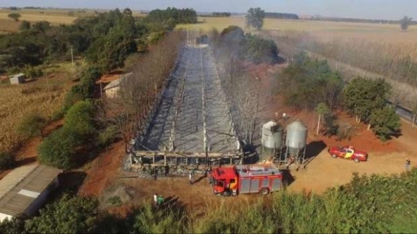 Fotos André Almenara