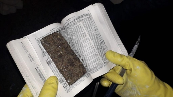 Presos escondem maconha dentro de bíblia em delegacia do Paraná, diz Depen — Foto: Divulgação/Depen-PR