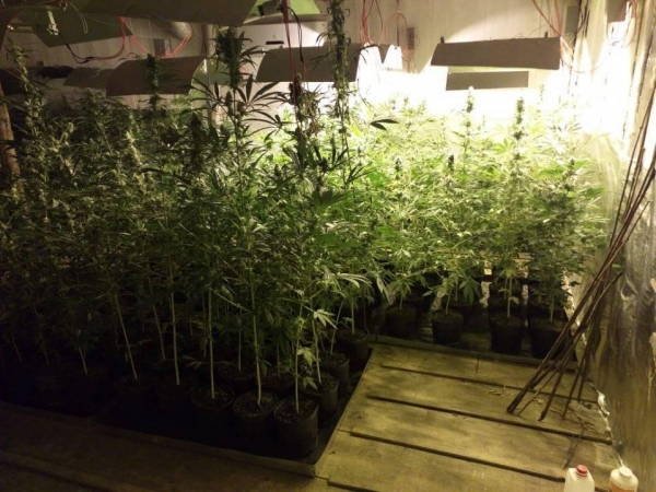 A chácara fica no bairro Matulão, próximo ao Km 658 da BR- 376. (Foto: Banda B)