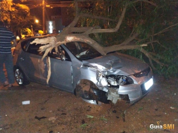 Com o impacto da batida, a árvore foi totalmente arrancada. (Foto: Guia SMI)
