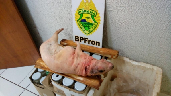 Fotos: Divulgação BPFron