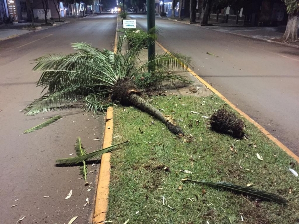 Fotos: Portal Nova Santa Rosa