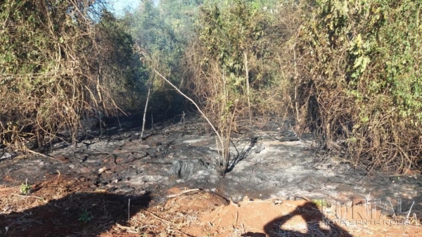 Fotos: Colaborador