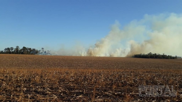 Incêndio na Linha Brasil. (Foto: Colaborador)