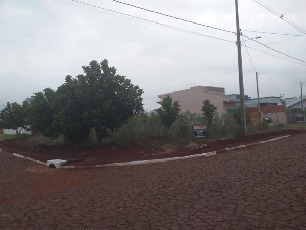 Foto: Colaborador