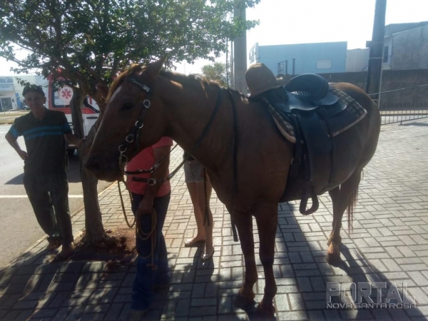 Fotos: Bogoni/Radar BO/Catve