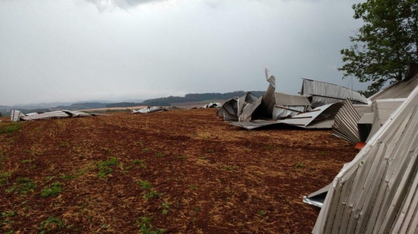 Fotos: Divulgação