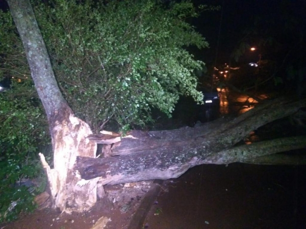 Fotos: Bogoni Radar B.O