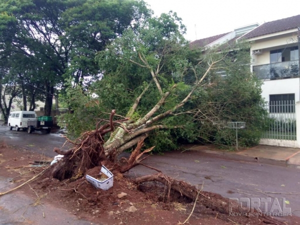 Fotos: Bogoni Radar B.O.