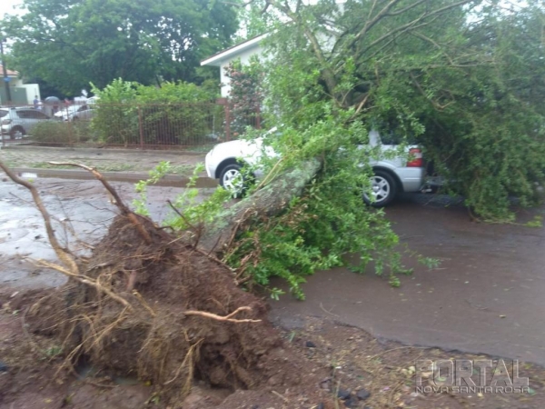 Uma árvore foi arrancada com a força dos ventos e caiu em cima de um veículo. (Foto: Bogoni Radar B.O.)