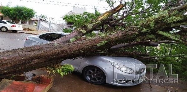Fotos: Colaborador