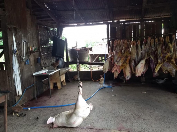 Foto: Divulgação/Policia Civil