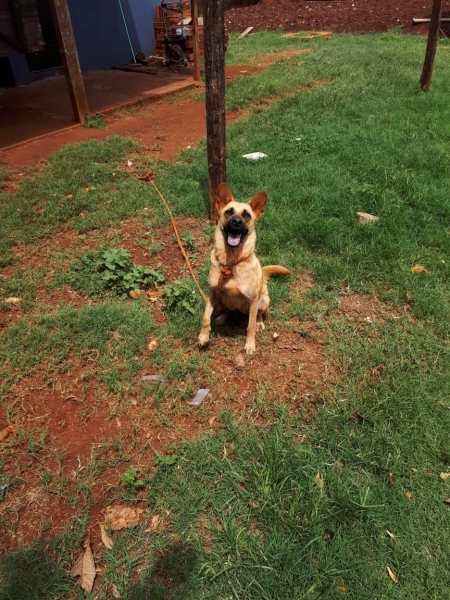 Foto: Colaboradora