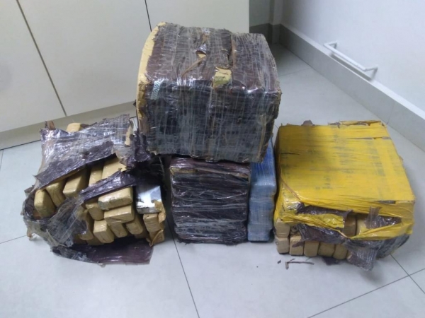 Fotos: Bogoni Radar B.O.