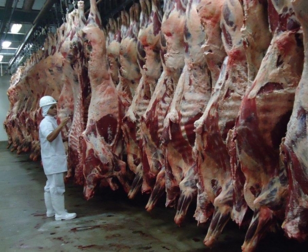 (Foto: Governo do Estado de Rondônia )