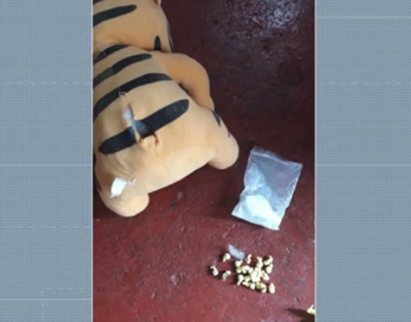 Mulher é presa suspeita de vender cocaína em urso de pelúcia, em Maringá — Foto: Reprodução/RPC