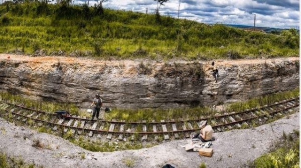 Pesquisadores da UFPR fizeram coleta dos fósseis de serpentes e estrelas-do-mar na região de Jaguariaíva Foto: Divulgação