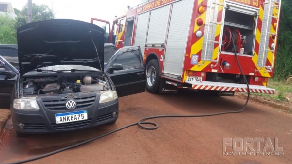 Fotos: Portal Palotina