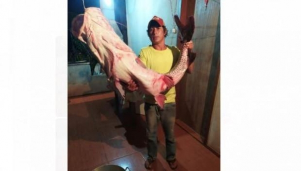 Foto: Reprodução/O Bemdito