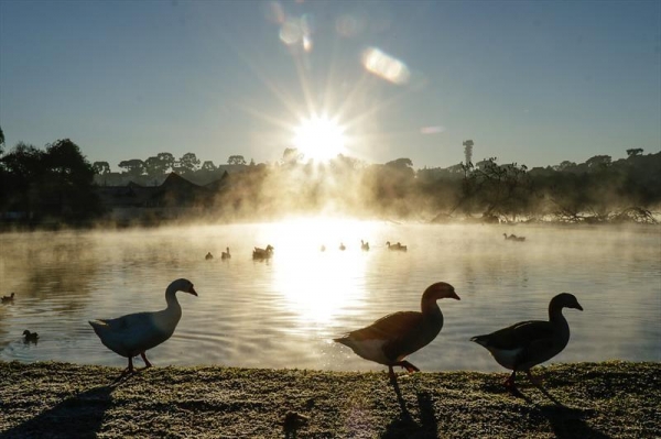 (Foto: Ricardo Marajó/FAS )