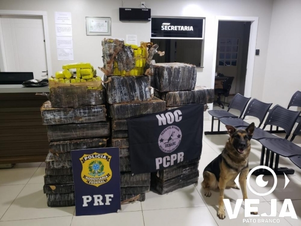 Droga apreendida durante a madrugada. (Foto: NOC)