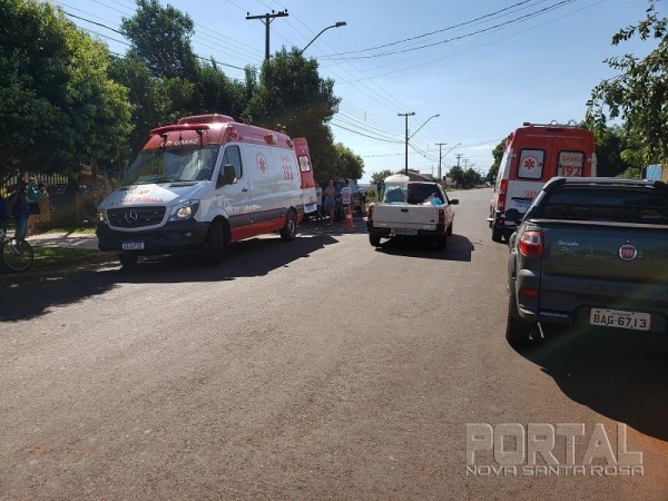 Foto: Portal Palotina