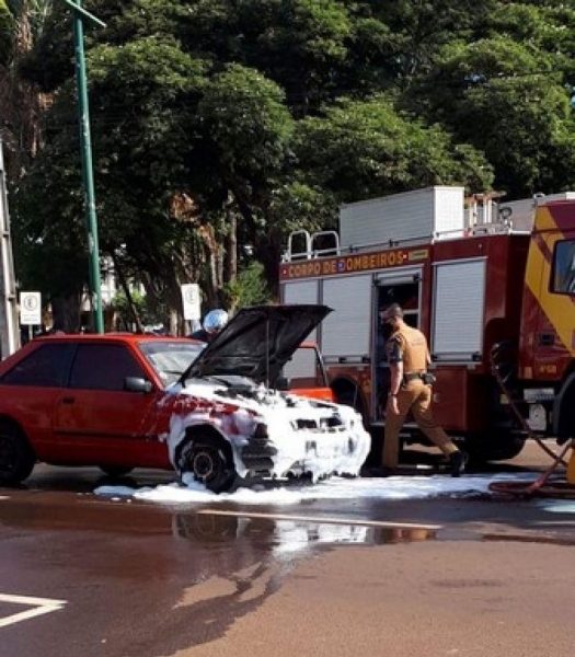 Fotos: Divulgação/Portal Palotina