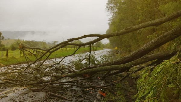 Fotos: Divulgação/PRE