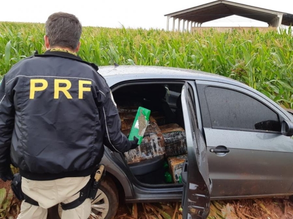 Apreensões foram realizadas durante Operação Flagelum (Foto: PRF )