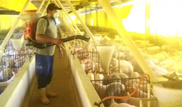 Foto: Assessoria Copagril