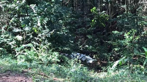 Imagens: Vanderlei Lima e Adelino Guimarães