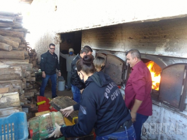 Fotos: Bogoni Radar B.O./Portal Nova Santa Rosa