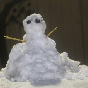 Boneco de neve em Bom Jardim da Serra na noite desta quinta-feira (20) — Foto: Onéris Lopes/Amures