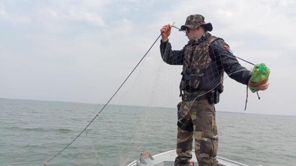 Fotos: Polícia Ambiental