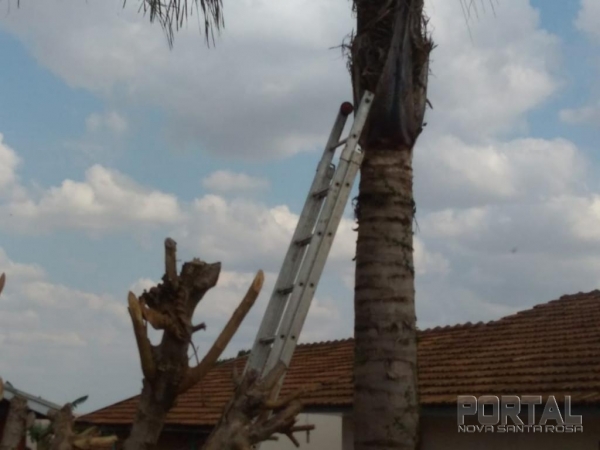 Fotos: Bogoni/Radar B.O./Portal Nova Santa Rosa